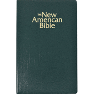 The NAB Gift & Award Bible, green