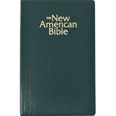 The NAB Gift & Award Bible, green