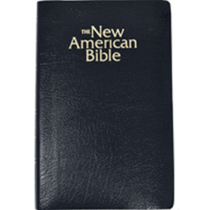 The NAB Gift & Award Bible, black