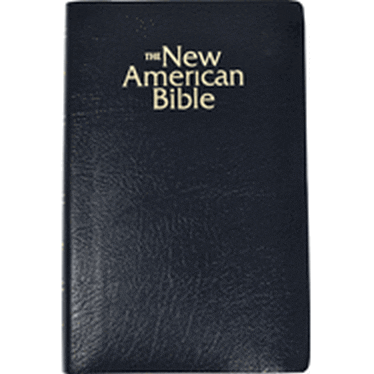 The NAB Gift & Award Bible, black
